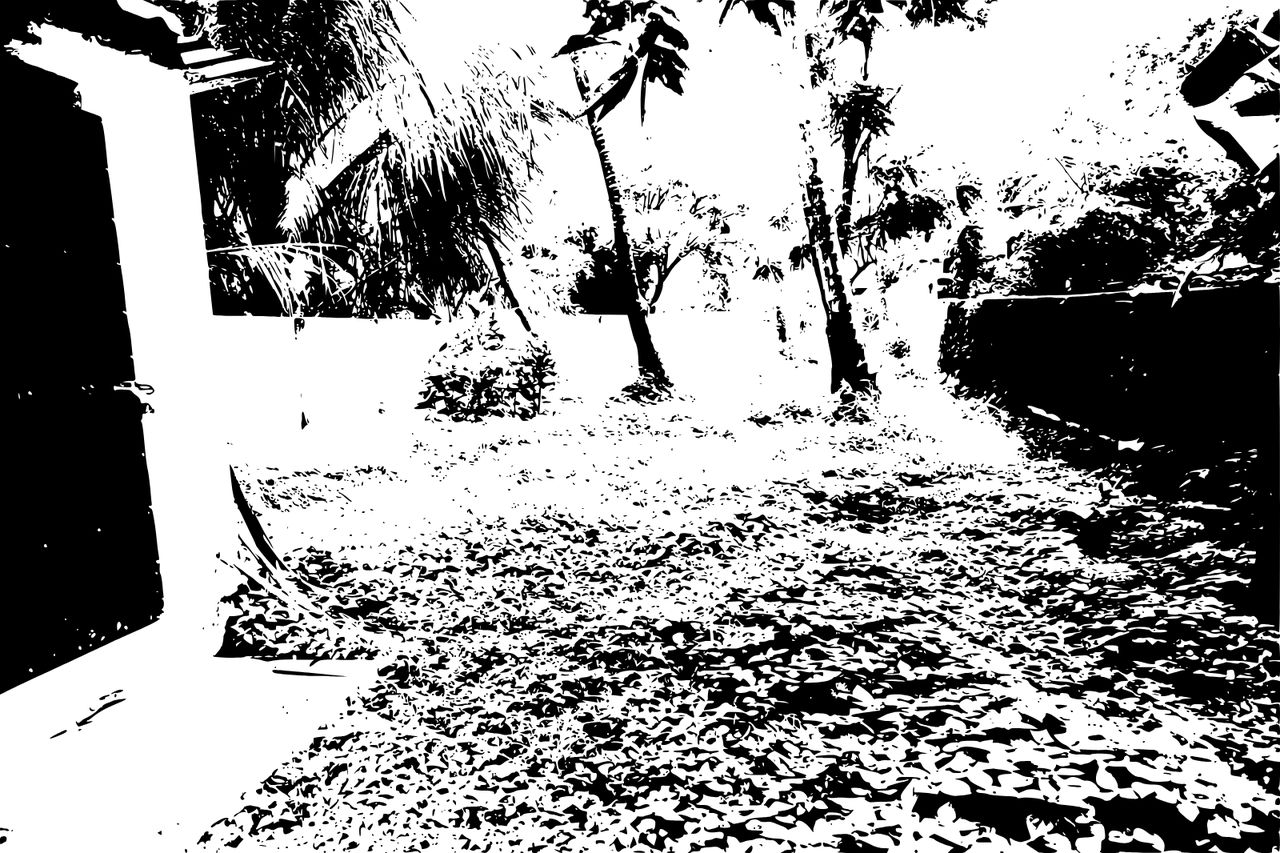 Semi Commercial Land for Sale in Thirunellai — photo 2