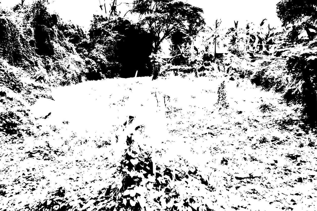 Semi Commercial Land for Sale in Thirunellai — photo 3